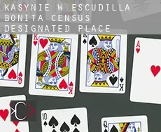 Kasynie w  Escudilla Bonita