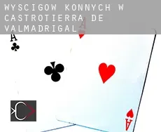 Wyścigów konnych w Castrotierra de Valmadrigal