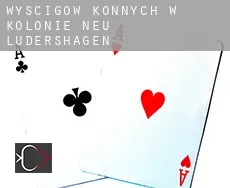 Wyścigów konnych w Kolonie Neu Lüdershagen