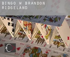 Bingo w  Brandon Ridgeland