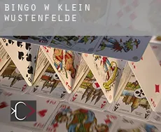 Bingo w Klein Wüstenfelde
