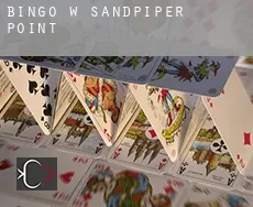 Bingo w Sandpiper Point