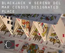Blackjack w Sereno Del Mar