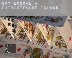 Gry losowe w  Chincoteague Island