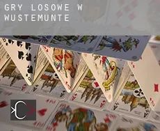 Gry losowe w  Wüstemünte