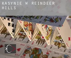 Kasynie w  Reindeer Hills