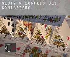 Sloty w Dörflis bei Königsberg