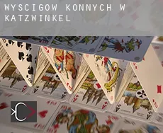 Wyścigów konnych w Katzwinkel