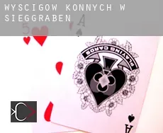 Wyścigów konnych w  Sieggraben