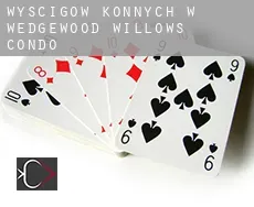 Wyścigów konnych w  Wedgewood Willows Condo