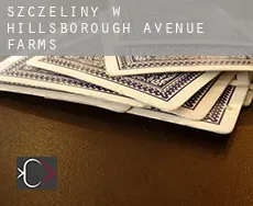 Szczeliny w Hillsborough Avenue Farms