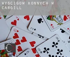 Wyścigów konnych w  Cargill