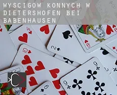 Wyścigów konnych w  Dietershofen bei Babenhausen