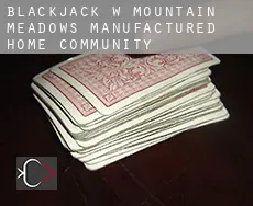 Blackjack w  Mountain Meadows Manufactured Home Community