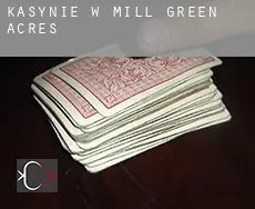 Kasynie w  Mill Green Acres