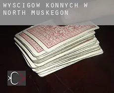 Wyścigów konnych w  North Muskegon