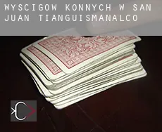 Wyścigów konnych w  San Juan Tianguismanalco