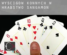 Wyścigów konnych w  Hrabstwo Sangamon