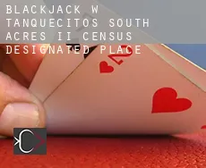 Blackjack w Tanquecitos South Acres II
