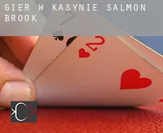 Gier w kasynie  Salmon Brook