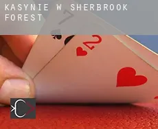 Kasynie w  Sherbrook Forest