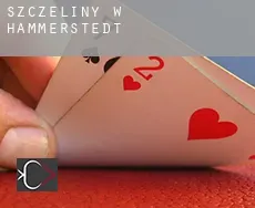 Szczeliny w  Hammerstedt