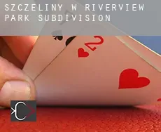 Szczeliny w  Riverview Park Subdivision