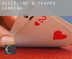 Szczeliny w  Trappe Landing