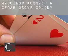 Wyścigów konnych w  Cedar Grove Colony