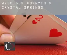 Wyścigów konnych w  Crystal Springs