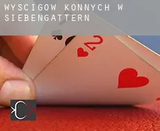 Wyścigów konnych w  Siebengattern