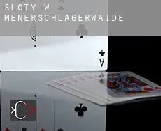 Sloty w Meßnerschlagerwaide
