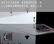 Wyścigów konnych w  Llangammarch Wells