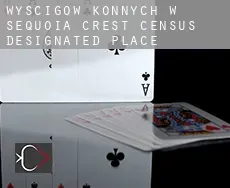 Wyścigów konnych w  Sequoia Crest
