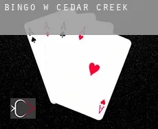 Bingo w  Cedar Creek