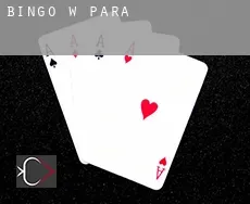Bingo w  Pará
