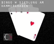 Bingo w  Siedlung am Hammergraben