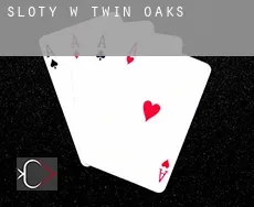 Sloty w Twin Oaks
