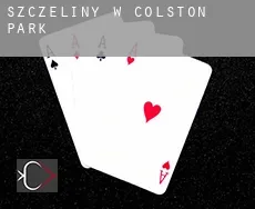 Szczeliny w  Colston Park