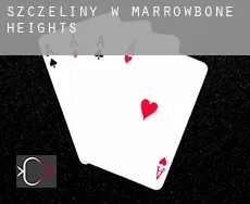 Szczeliny w  Marrowbone Heights