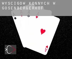 Wyścigów konnych w Gosenbergerhof