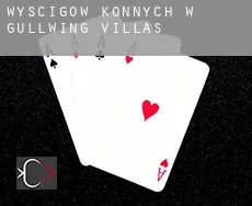 Wyścigów konnych w  Gullwing Villas