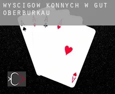 Wyścigów konnych w Gut Oberburkau