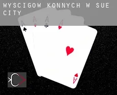 Wyścigów konnych w  Sue City