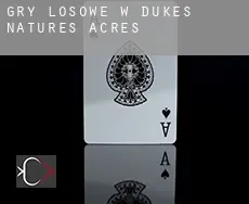 Gry losowe w  Dukes Natures Acres