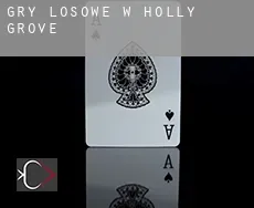 Gry losowe w  Holly Grove
