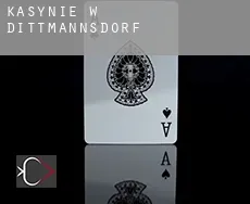 Kasynie w  Dittmannsdorf