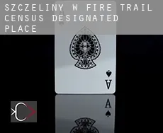 Szczeliny w Fire Trail
