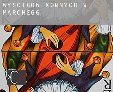 Wyścigów konnych w  Marchegg