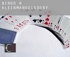 Bingo w Kleinmangelsdorf
